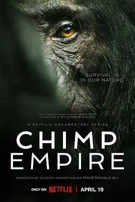 《黑猩猩帝国 Chimp Empire》(2023) 【纪录片/自然/动物】全4集 1080P 6.98G 马赫沙拉·阿里旁述 | 震撼人心的黑猩猩社会权力斗争