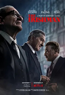《爱尔兰人》The Irishman (2019) 【犯罪/剧情/史诗】WEBRip 1080P特效中英双字 | 马丁·斯科塞斯黑帮终章×数字减龄神术×世纪悬案重构 | 共11.9G