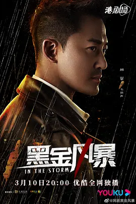 《黑金风暴》(2022) 【剧情/犯罪/香港】 全30集 4K 52.2G - 林峰、周秀娜联袂出演，揭秘黑金谜团