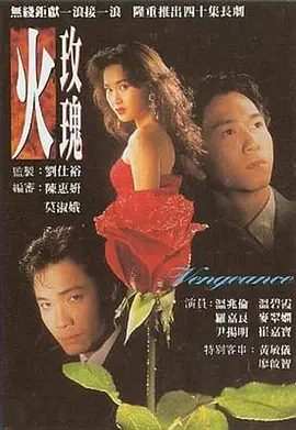 《火玫瑰》(1992) 【剧情/香港】 全40集 41.1G - 温碧霞经典复仇之作，爱恨交织的豪门恩怨