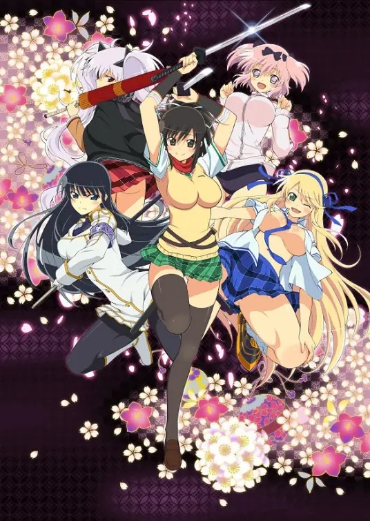 《闪乱神乐》(2013) 【全两季24集】【1080P】【简繁内嵌33G】｜游戏改编轻百合福利动画，忍者少女的华丽战斗！