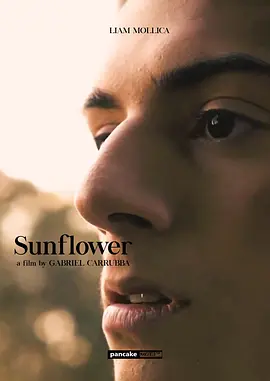 《向日葵》 (2023) 【剧情/成长/LGBTQ+】 1080P 1.5G 中文字幕 - 澳大利亚青春电影，少年探索自我认同之旅