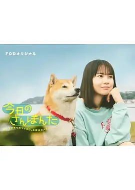 《今日份的散步》(2025) 【剧情/日本】 全8集 3.7G - 柴犬庞太与主人的温馨日常
