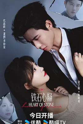 《铁石心肠》(2025) 【剧情/爱情/短剧/大陆】 全24集 - 代高政金子璇主演，复仇与救赎的爱恋