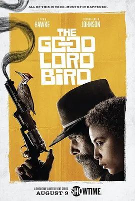 《上帝之鸟 The Good Lord Bird》(2020) 【剧情/美国】全1季 1080P 7.41G 伊桑·霍克主演 | 黑色幽默下的废奴运动史诗